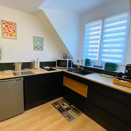公寓 Duplex Chaleureux Au Coeur De La *